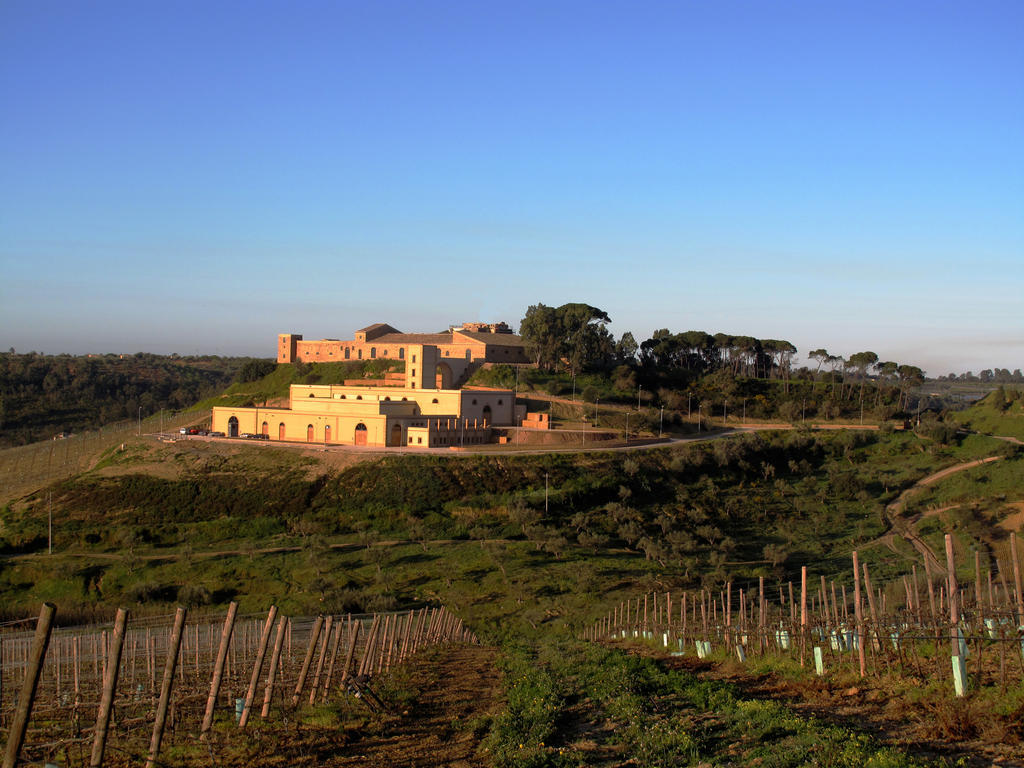 Wine Relais Feudi Del Pisciotto Villa Niscemi ภายนอก รูปภาพ